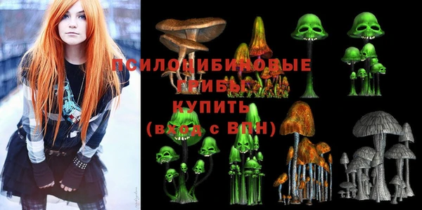 Альфа ПВП Балабаново