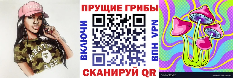 Купить  Невельск  Псилоцибиновые грибы прущие грибы 